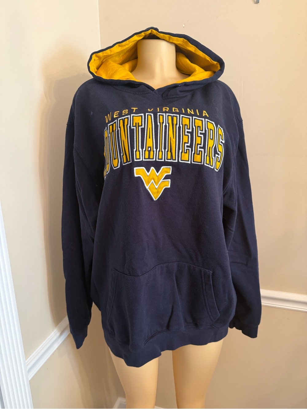 Campus Heritage Navy Pullover Hoodie with Gold Lined Hood